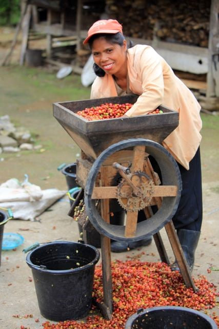 Sumatra